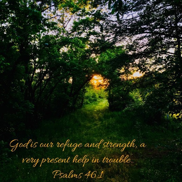 Meet your Posher, Brianna - Picture 7 of 7